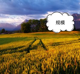 科技賦能農業，智慧引領電商——為農產品電商領域中的農業技術研究者點贊