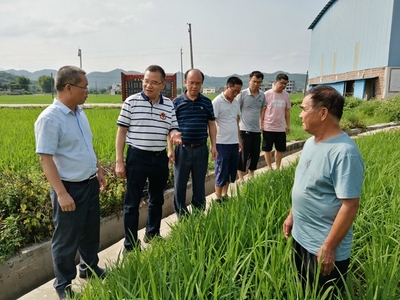 我區啟動全國五星鄉鎮農技推廣機構復核工作，深化農業技術研究與應用