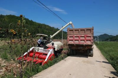 科技助力，省州專家團隊赴施秉縣開展中低產田產能提升與玉米大豆復合種植測產工作