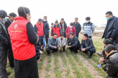 科普惠農進田間，科技賦能助增收——濟寧市農科院開展農技專題培訓
