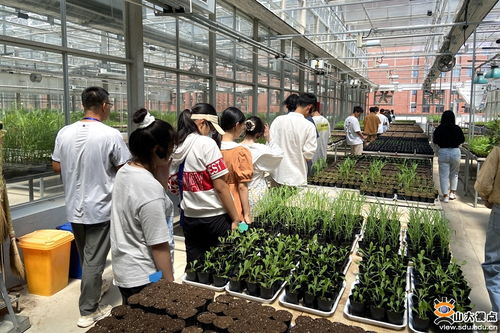 生命科學與微生物技術研究院師生深入青島清原農冠，共探農業科技前沿